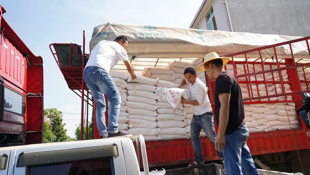 爱心大米情暖湖北-捐赠20吨大米援助武汉和孝感孝昌县等10多个地区(图5)